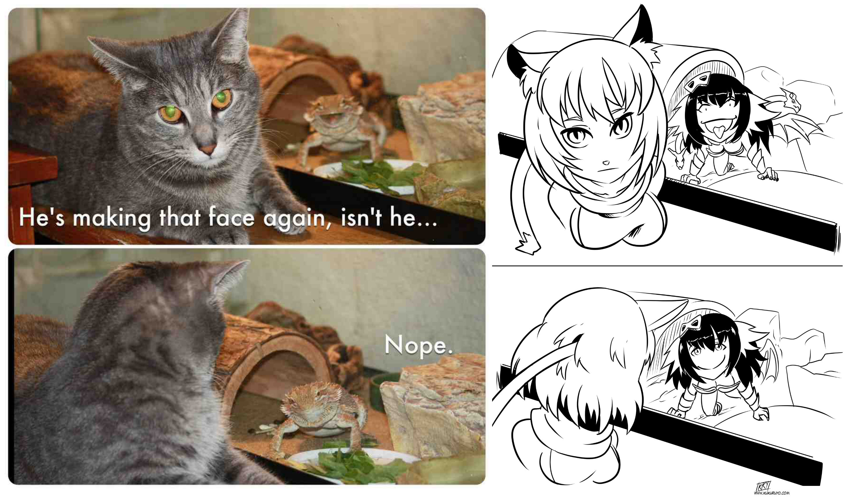 The best Cat Girl memes :) Memedroid