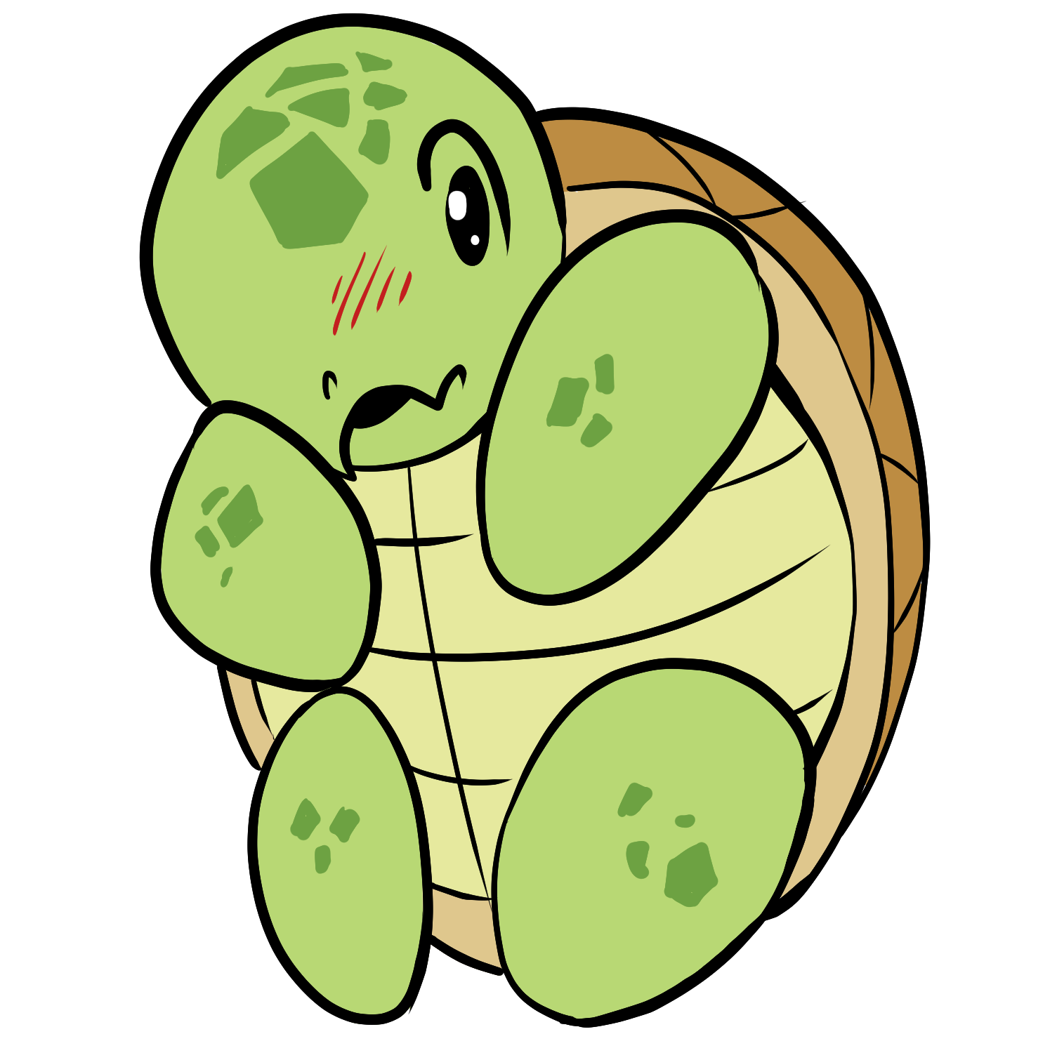 Commission: Ankward turtle - kukuruyo